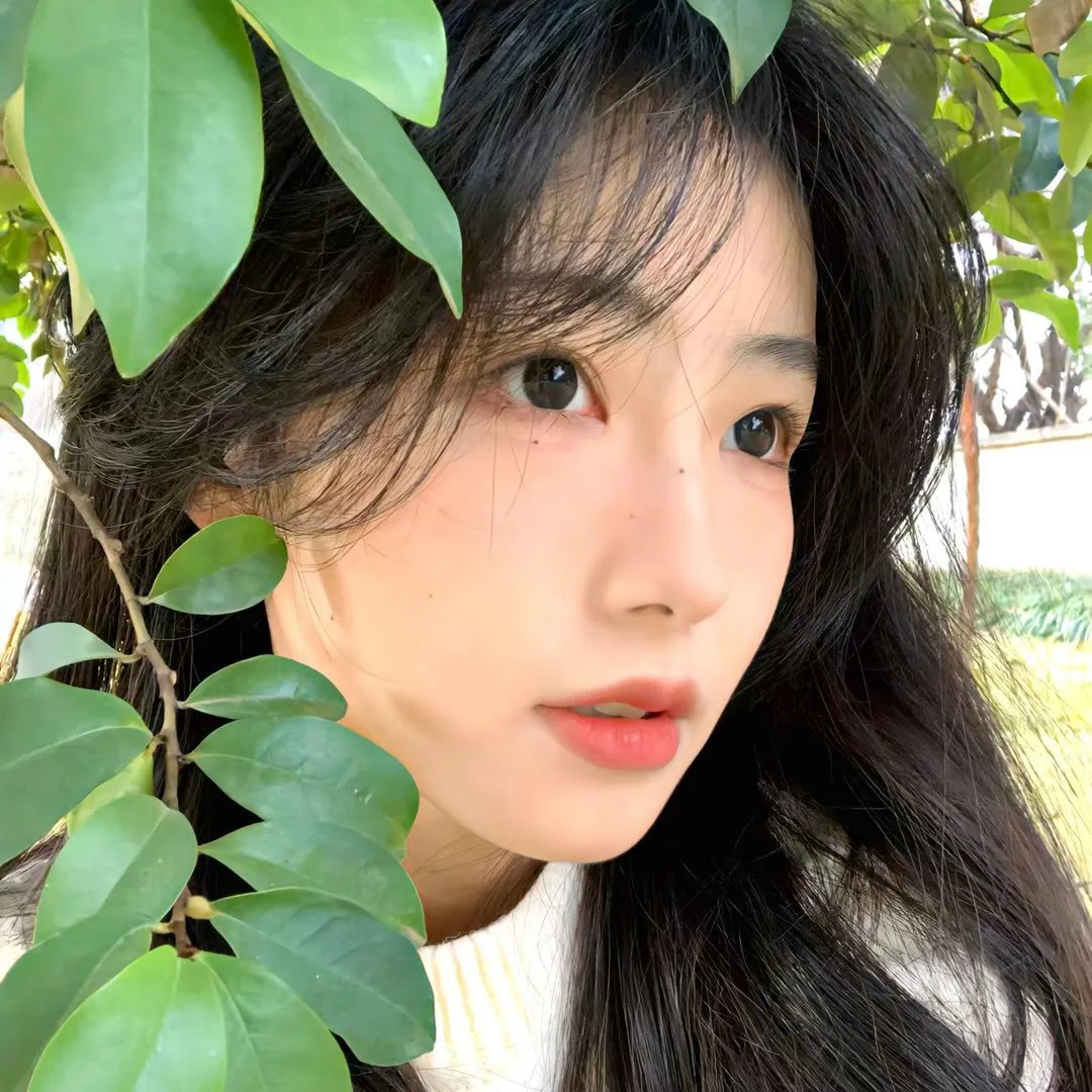人前叫多莉,人后叫凯蒂